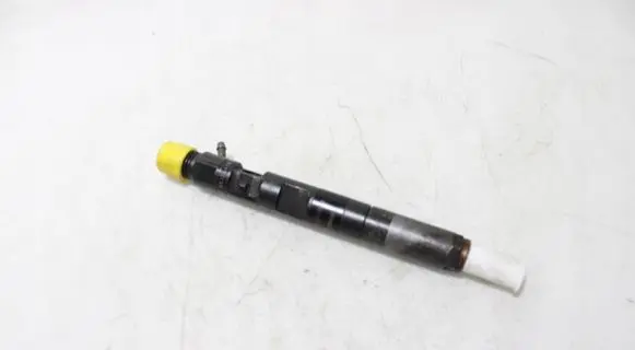 Renault Megane II Fuel injector