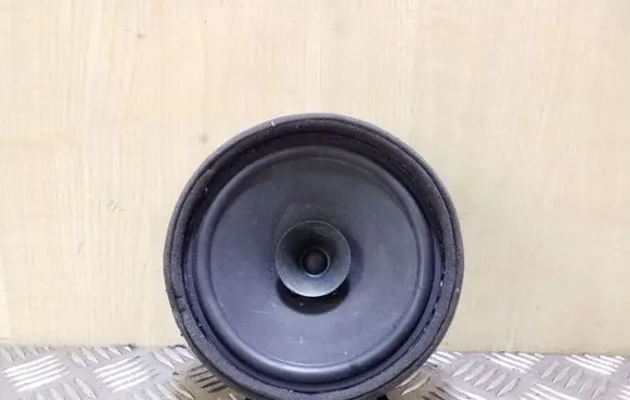 Peugeot 4007 Front door speaker 8720A017