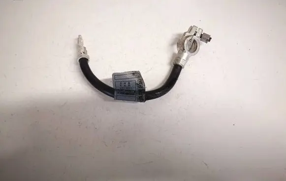 Mercedes-Benz A W169 Positive cable (battery) a1695406409