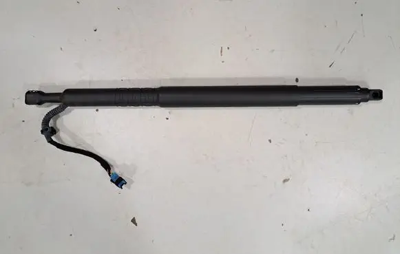 Tailgate/trunk strut/damper