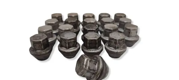 Ford Focus Nuts/bolts 