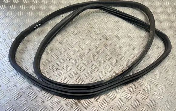 BMW X6 E71 Rubber seal front coupe door 