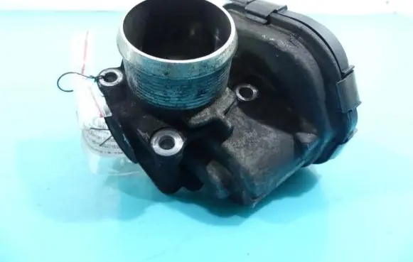 Throttle body valve