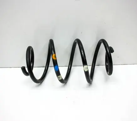 Rear coil spring