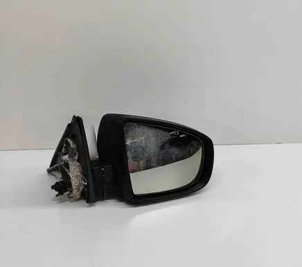 BMW X6 E71 Front door electric wing mirror 7181166