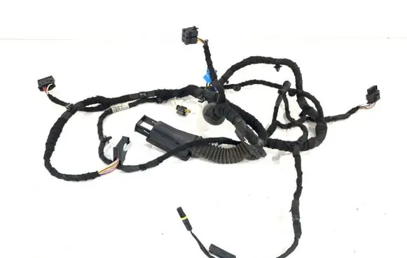 BMW 3 G20 G21 Front door wiring loom 5A20663