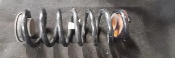 Rear coil spring