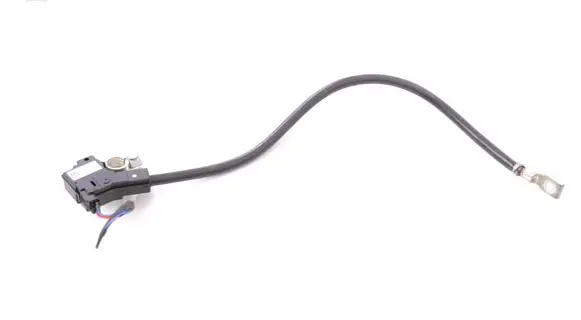 BMW 6 F12 F13 Positive wiring loom 9253082