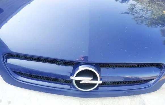 Opel Signum Front grill