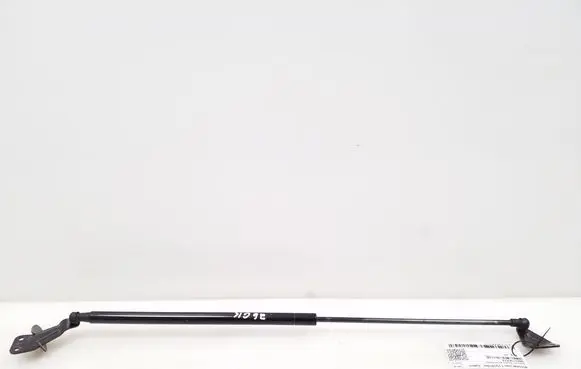 Nissan Juke I F15 Tailgate strut 904511KA1A