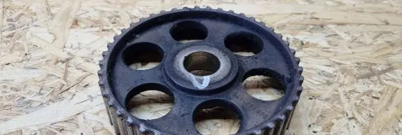 Volkswagen PASSAT B5 Camshaft pulley/ VANOS 069109111