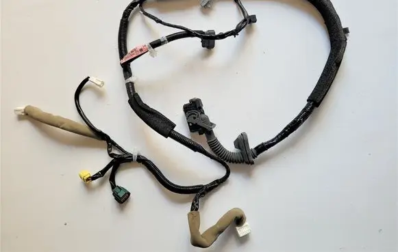 Nissan Leaf I (ZE0) Front door wiring loom 241243NA1A