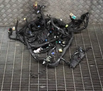 Chevrolet Volt I Other wiring loom 22854033