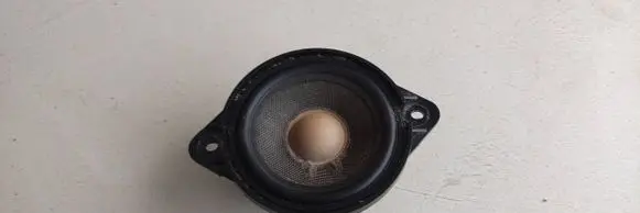 Front door high frequency speaker