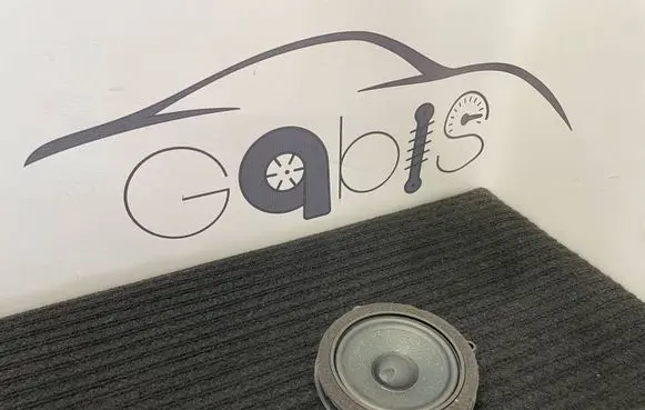 BMW X5 G05 Front door speaker 18353410 6809629