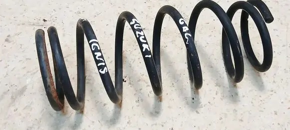 Rear coil spring