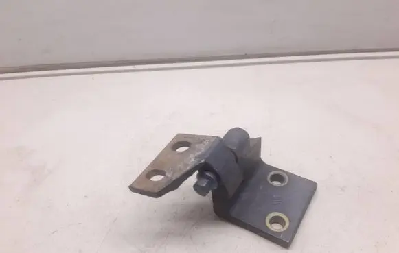 Peugeot 406 Rear door lower hinge