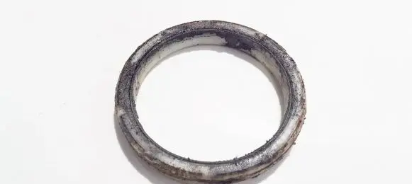 Coil spring mount