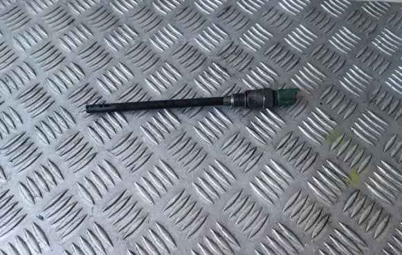 Citroen C4 I Oil level sensor 