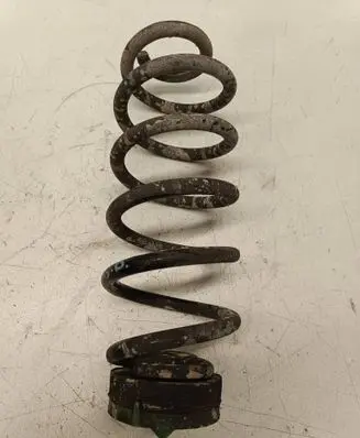 Rear coil spring