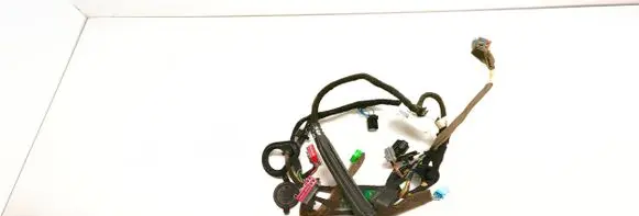 Front door wiring loom