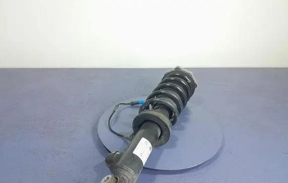 Rear shock absorber/damper