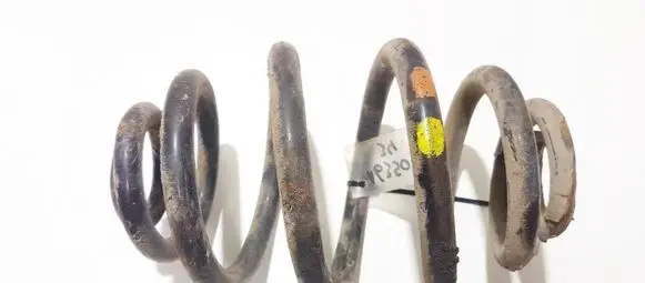 Volkswagen PASSAT B5 Rear coil spring