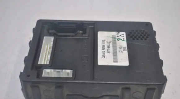 Suzuki Grand Vitara II Other control units/modules 3677065JL0