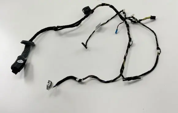 BMW 2 F22 F23 Front door wiring loom 19344411