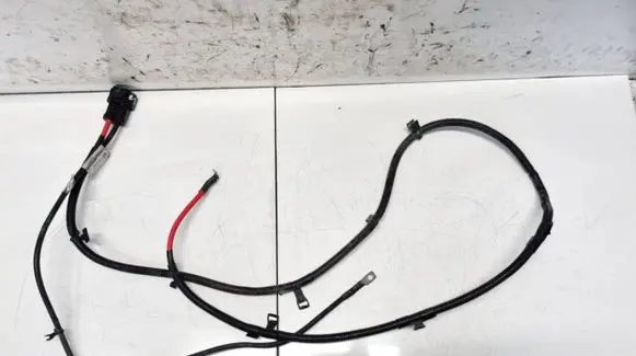 Tesla Model S Other wiring loom 101130100C 1011301-00-C