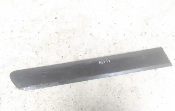 Rear door trim (molding)