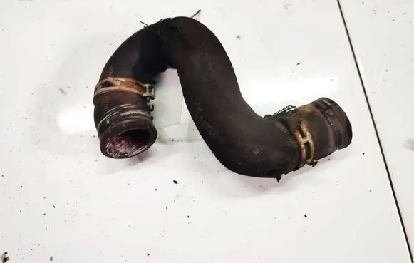 Opel Vectra C Engine coolant pipe/hose