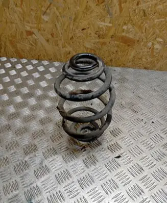 Rear coil spring
