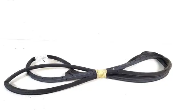 Toyota Hilux (AN10, AN20, AN30) Rubber seal rear door 67872-0K011
