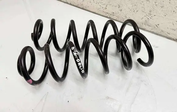 Rear coil spring