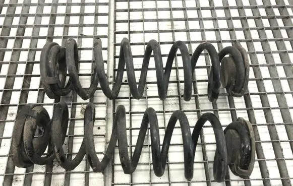 Rear coil spring