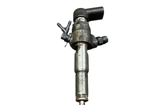 Citroen C3 Fuel injector 9645988580