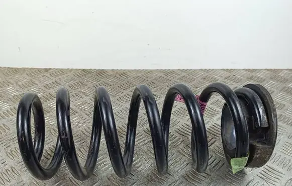 Rear coil spring
