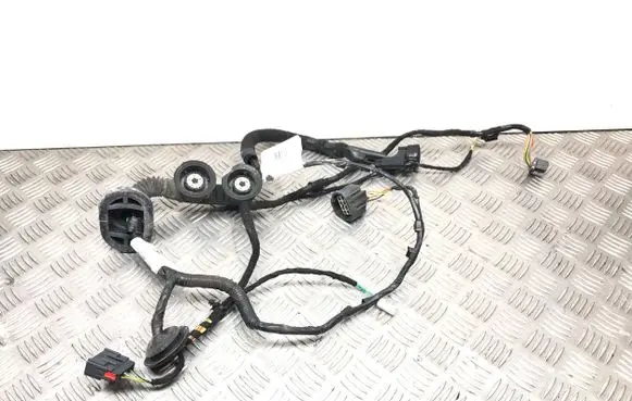 Jaguar X-Type Front door wiring loom 4X4314A584 55JF2B251 L370718