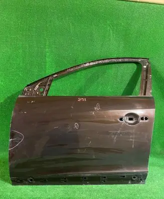 Renault Megane III Front door
