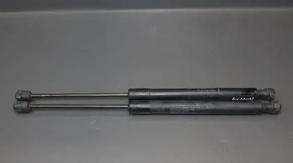 Infiniti EX Tailgate/trunk strut/damper 904501BA0A