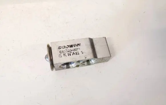 KIA Carnival Air conditioning (A/C) expansion valve e416230071 e41623-0071