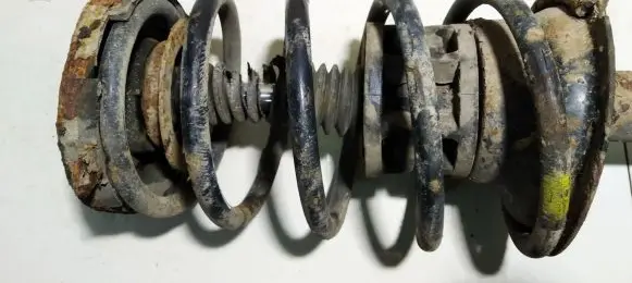 Front coil spring