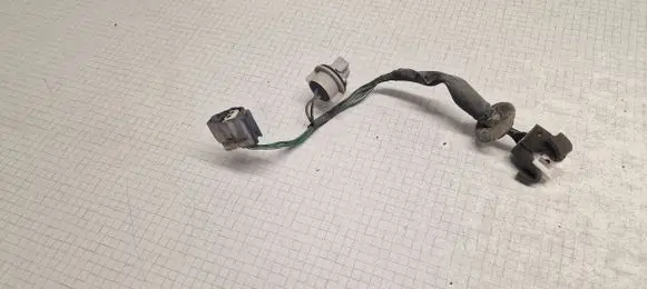 Mitsubishi Outlander Tail light bulb cover holder