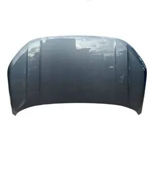 Engine bonnet/hood