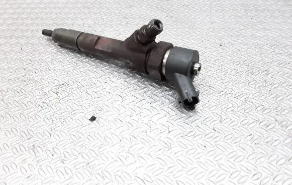 Renault Espace - Grand espace IV Fuel injector 0445110110B