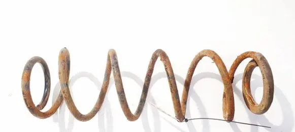 Renault Laguna III Rear coil spring