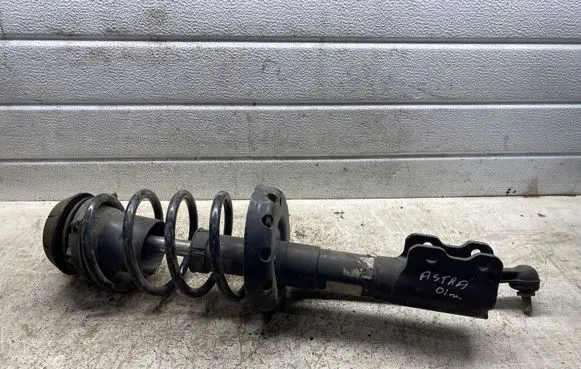 Opel Astra H Front shock absorber/damper 22169543