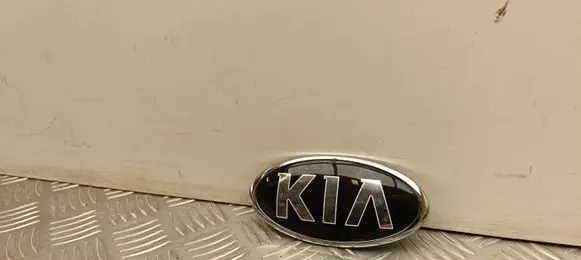 KIA Niro Manufacturer badge logo/emblem 863201W250