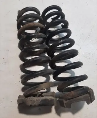 Rear coil spring